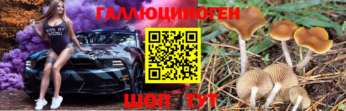 МЕФ Рубцовск