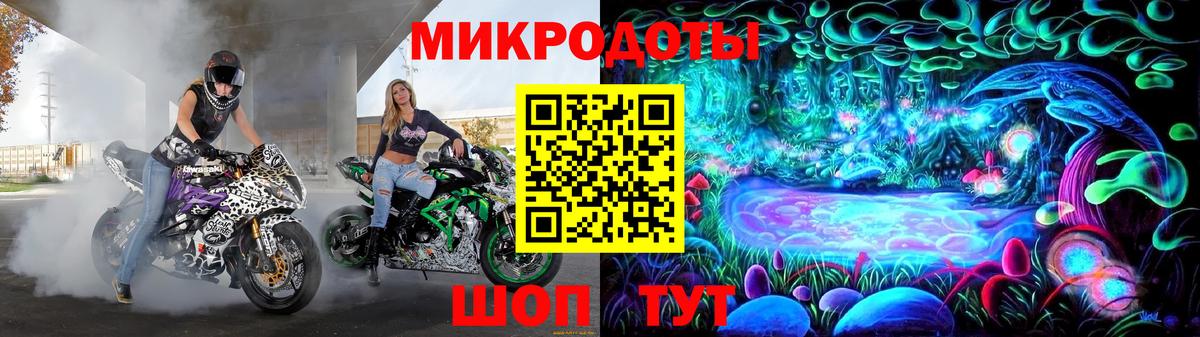 Галлюциногенные грибы Psilocybe Рубцовск